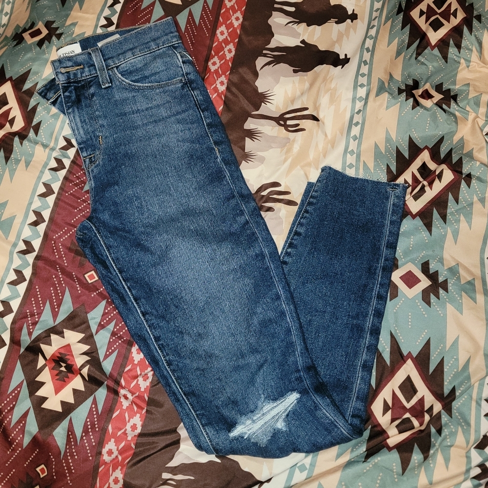 Hudson jeans